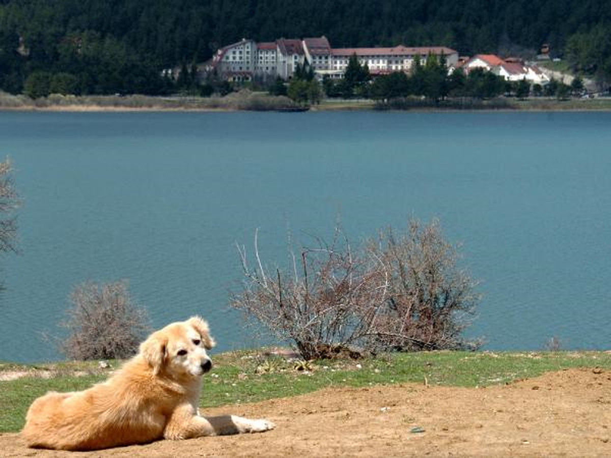 Abant\'ta Bahar Güzelliği