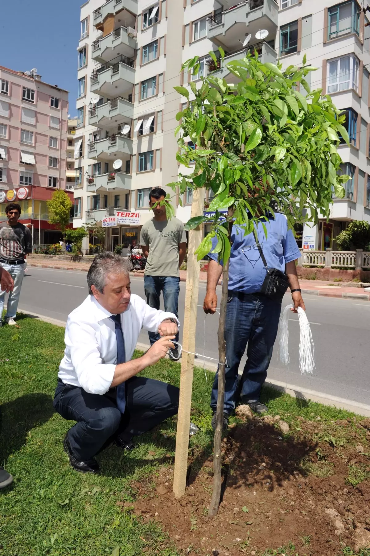 Antalya\'nın Caddeleri Narenciye Çiçeği Kokacak