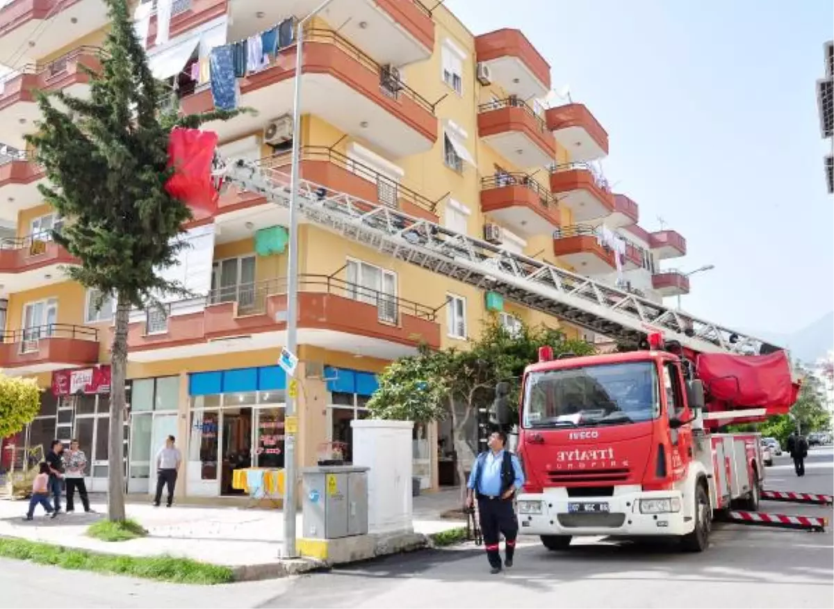 Düşen Kumru Yavrusunu, İtfaiye Ağaçtaki Yuvasına Koydu