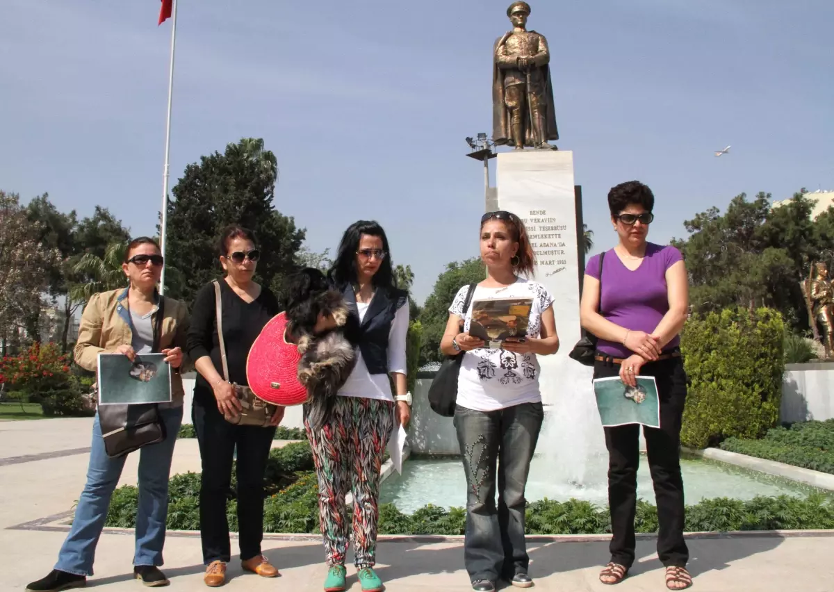 Hayvana Şiddet Protestosu