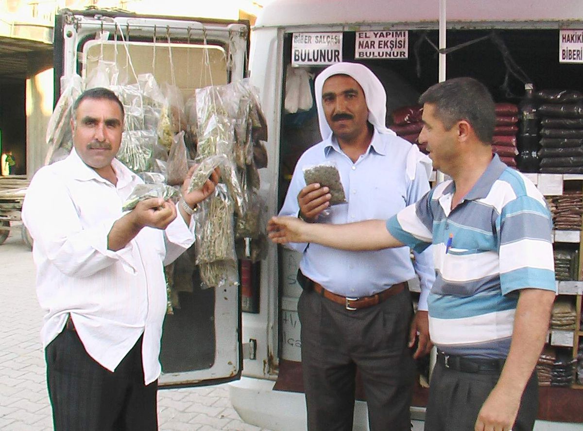 Zayıflamak İsteyenler Şifalı Bitkilere Rağbet Ediyor
