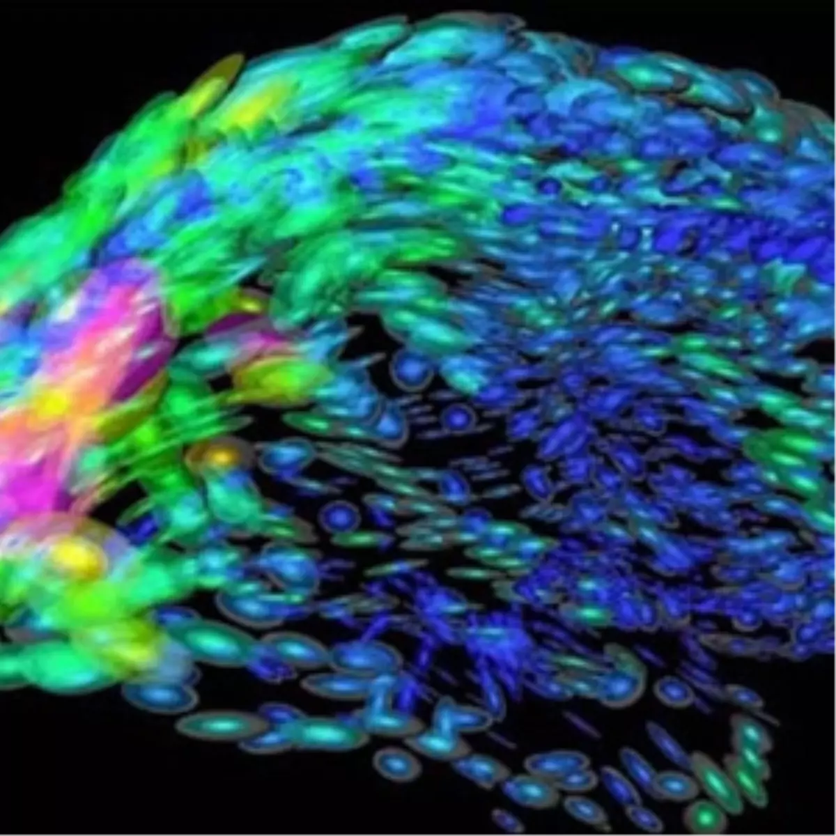 Beyninizin Ne Tarafını Kullanıyorsunuz?