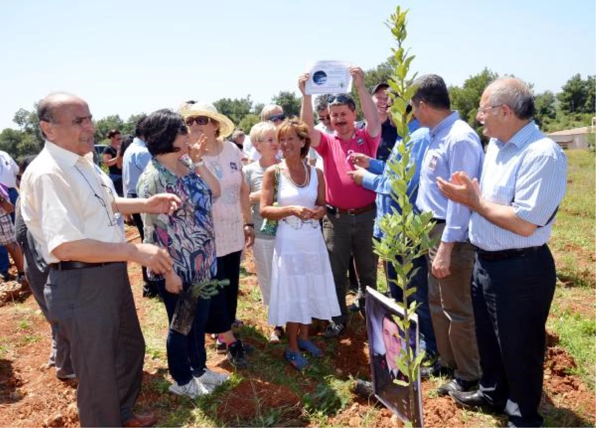 Yerleşik Yabancılar Manavgat\' Ta Fidan Dikti