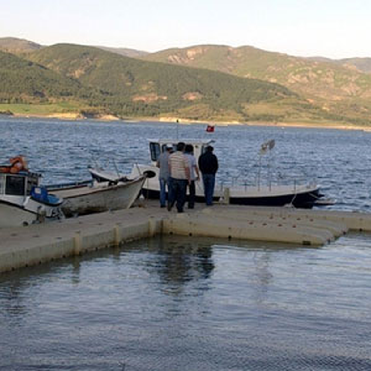 Almus Baraj Gölüne Düşen Genç Kayboldu