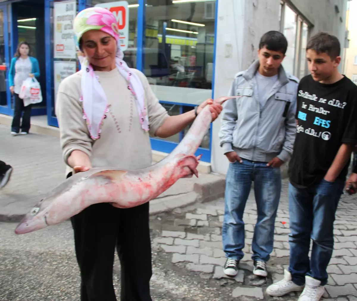 Bayan Balıkçı Köpekbalığı Yakaladı