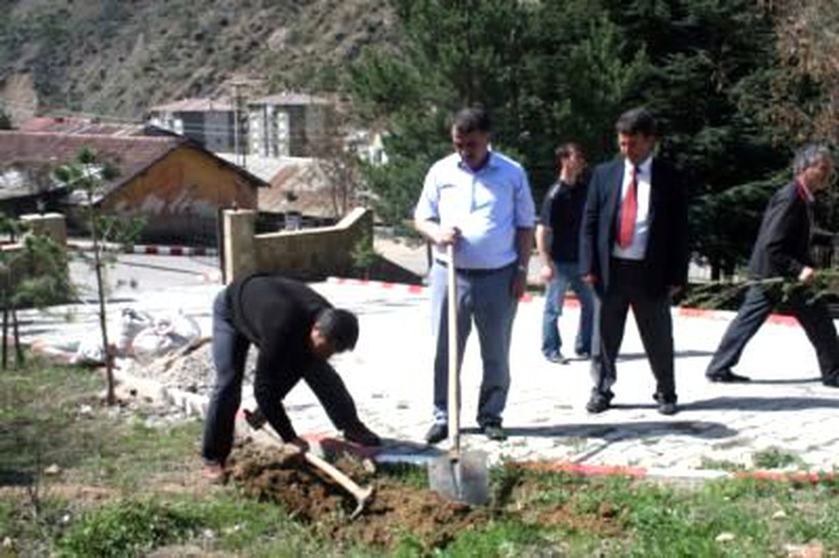 Gümüşhane\'de Mezarlıklar Ağaçlandırılıyor