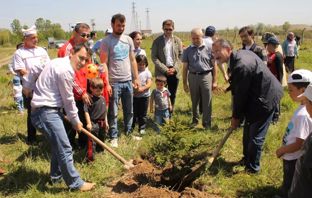 Hastane Çalışanları Fidan Dikti