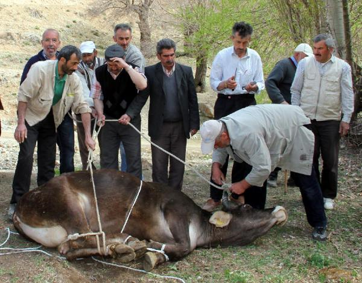 Köyde Asırlık Gelenek