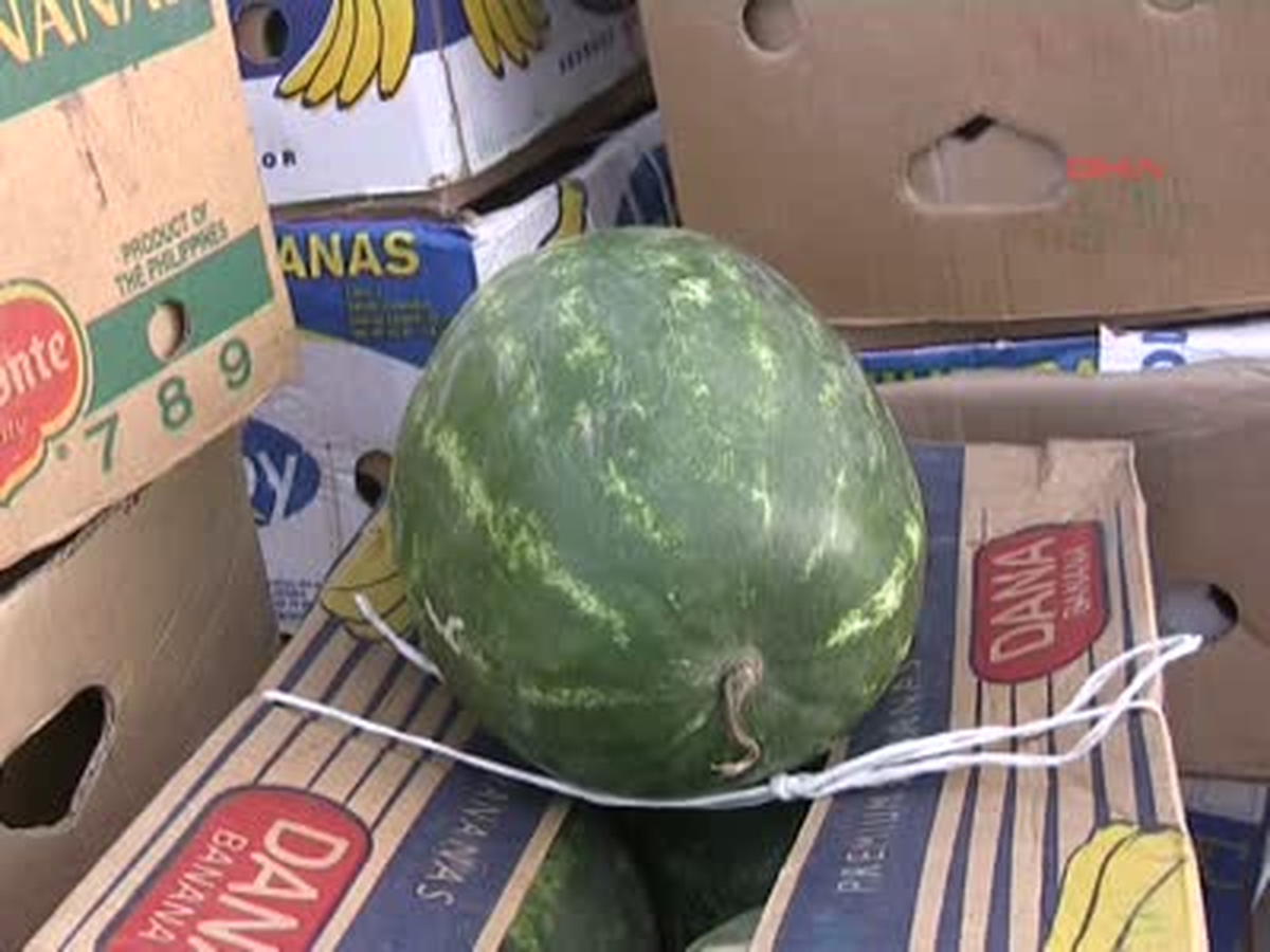 13 Ton Karpuz Altından 60 Bin Paket Kaçak Sigara Çıktı