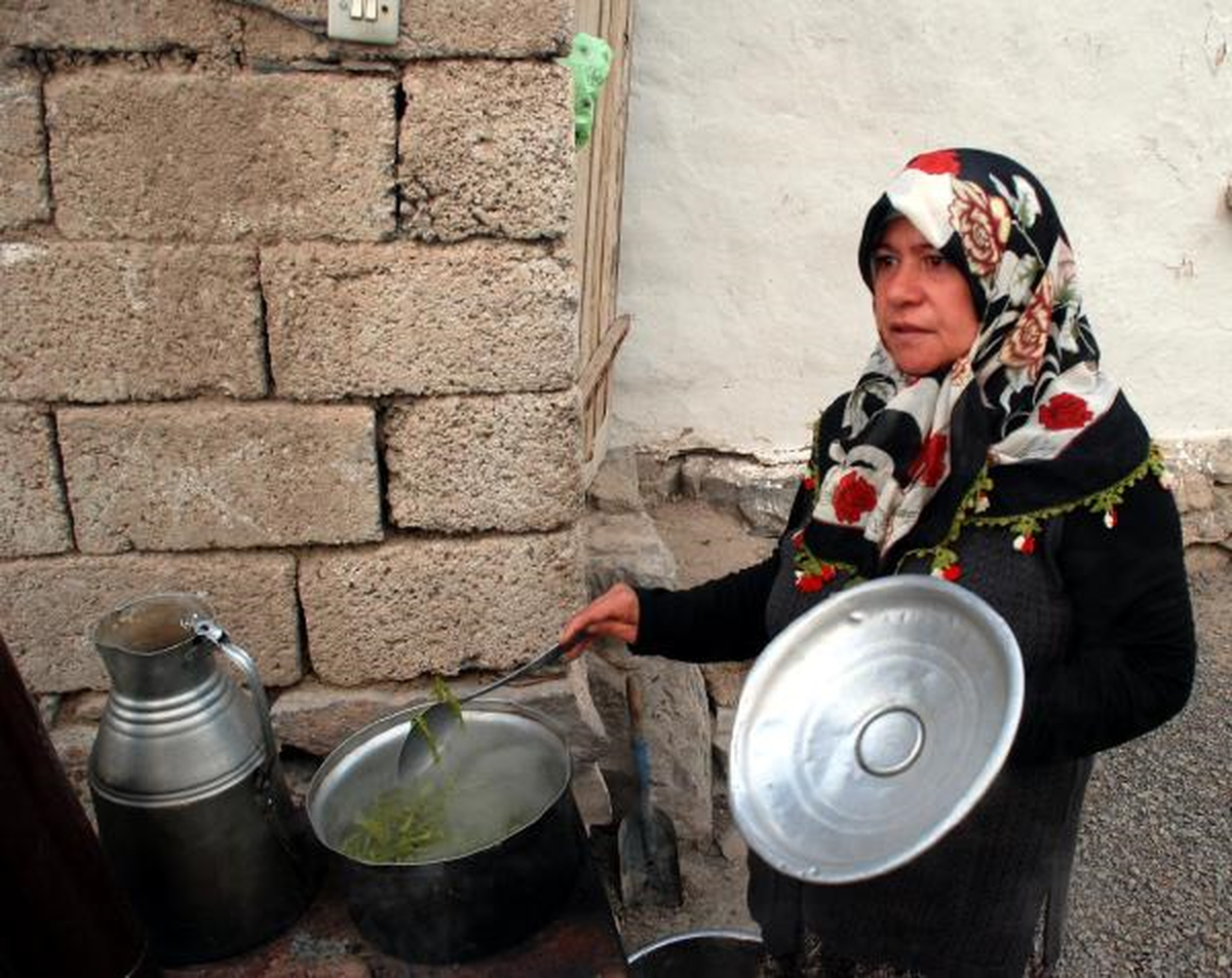 3 İneğinin Sütüyle 5 Çocuğuna Bakıyor