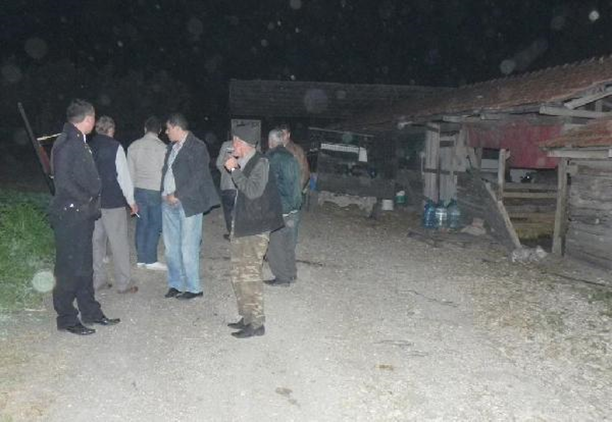 Çiftçinin Ahırdaki 65 Kuzusu Çalındı