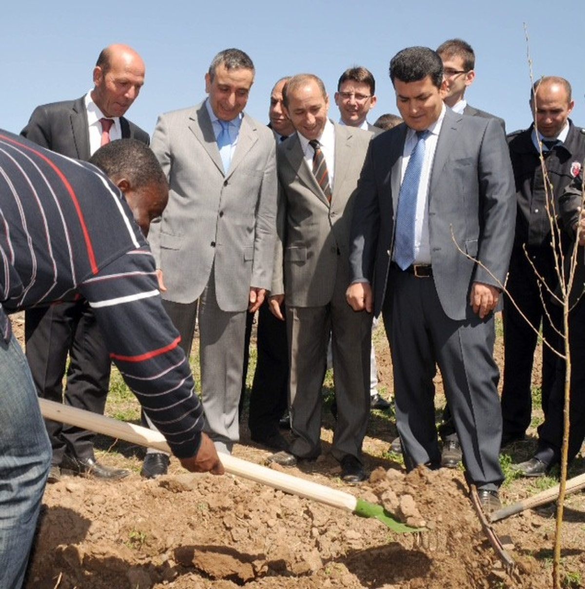 Dikenli Tel Çitleri Gölgesinde Ağaç Diktiler