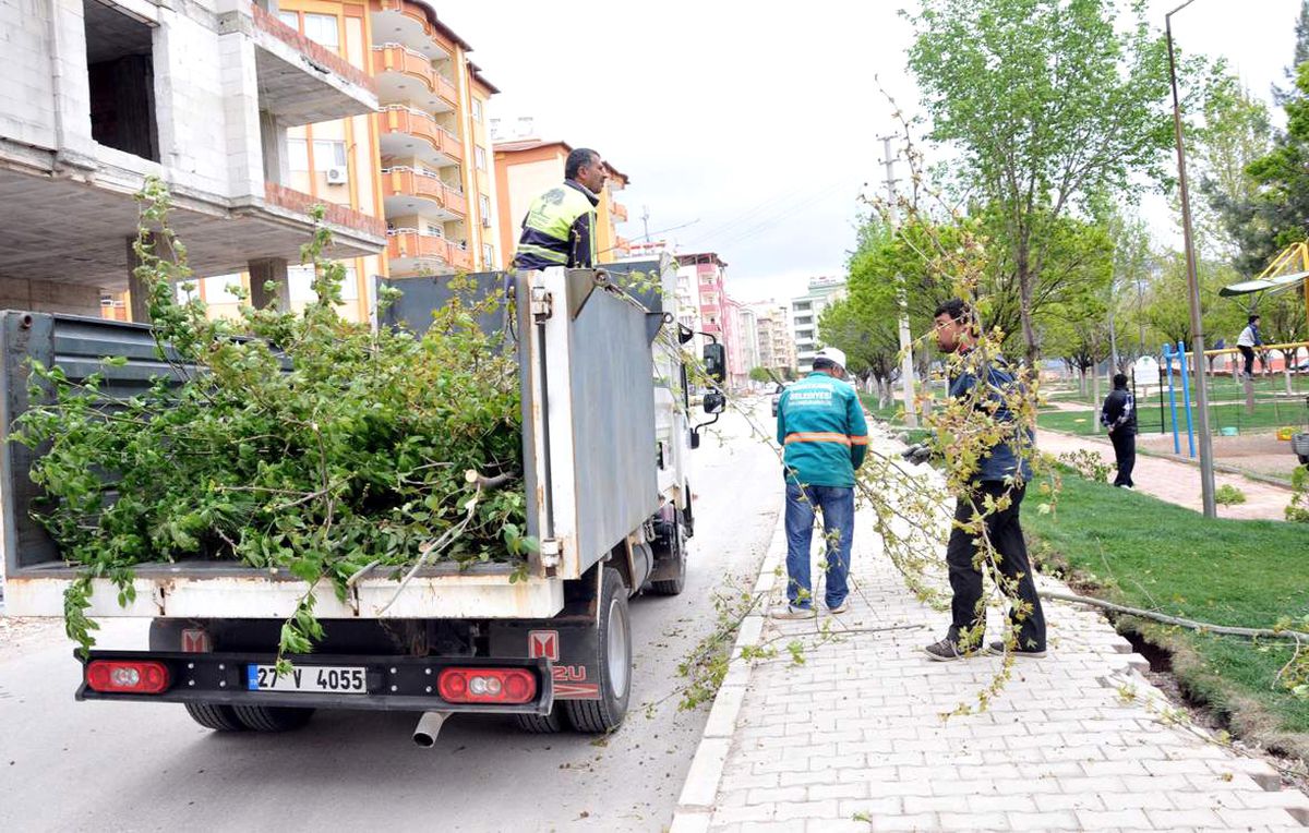 Şehitkamil\'de Budanan Ağaçlar İhtiyaç Sahiplerine Yakacak Oldu