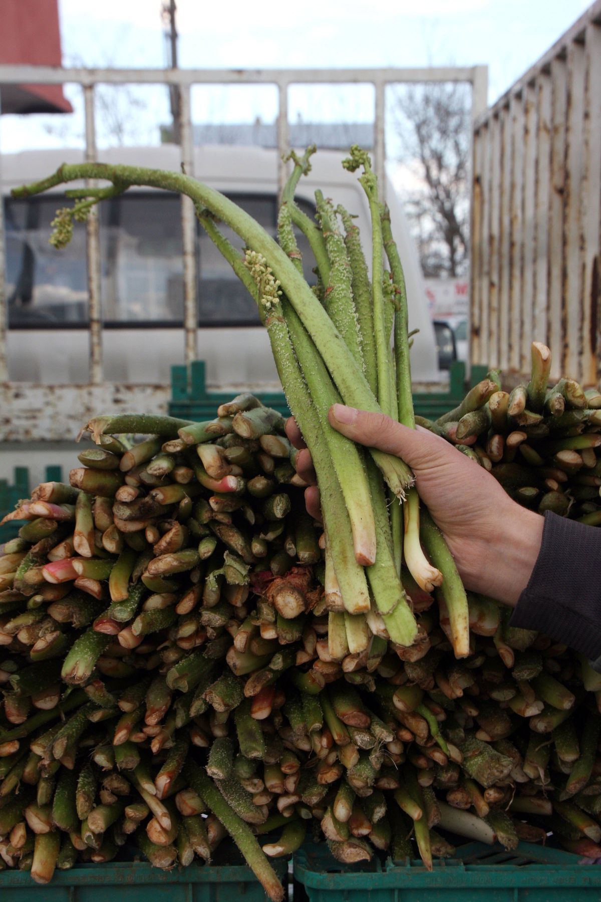 Uçkun Tezgahtaki Yerini Aldı