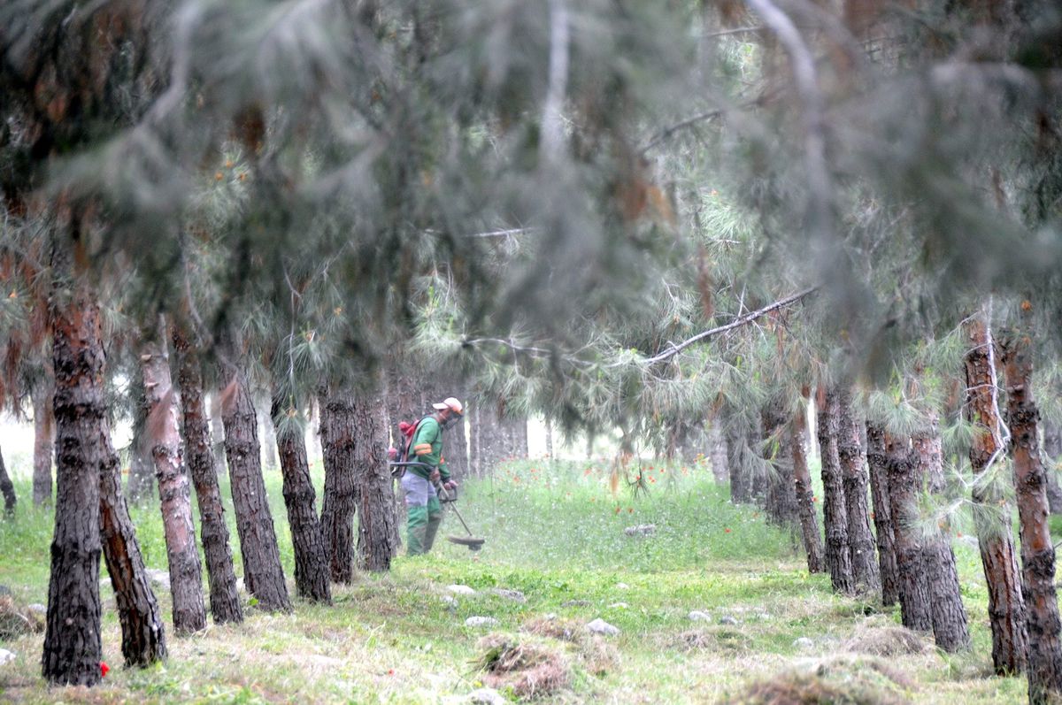68'liler Ormanı 'Denizleri Anma' Etkinliğine Hazır