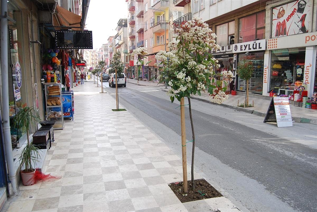 Eski Pazar Caddesi Ağaçlandırıldı