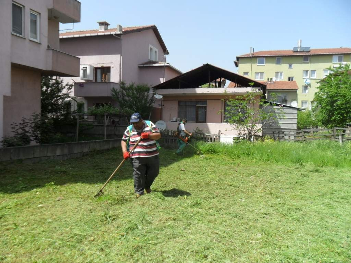 İzmit Belediyesi\'nde Ot Temizliği İçin Özel Ekip Oluşturuldu