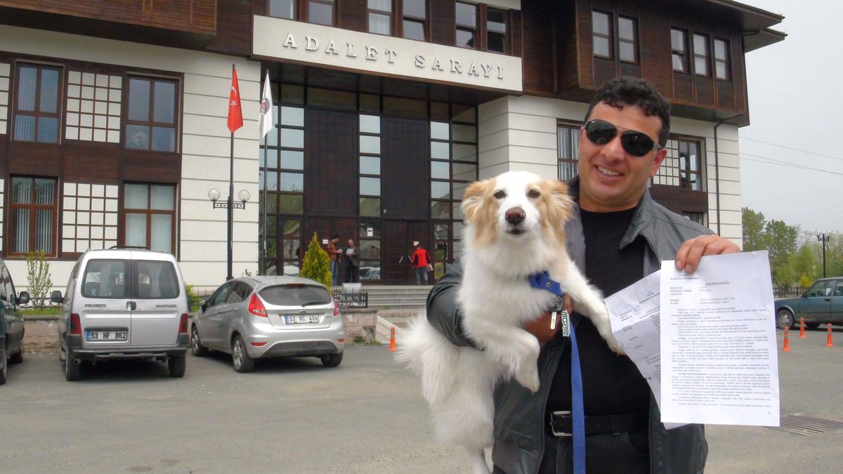 Rize'de Köpek Mahkemelik Oldu
