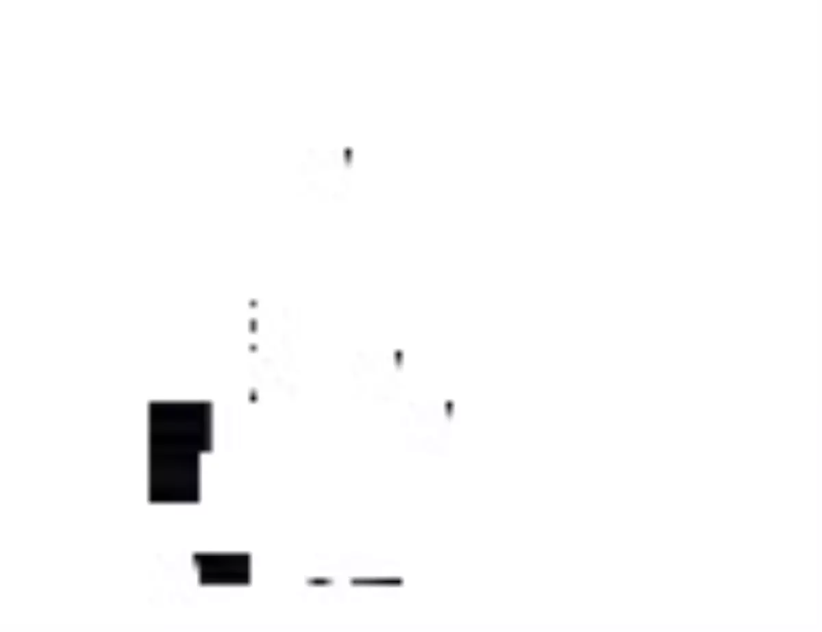 Thy, Dünyanın En Prestijli Ödülleri, "2012 Freddie Ödülleri"Nde İki Dalda Ödül Kazandı...