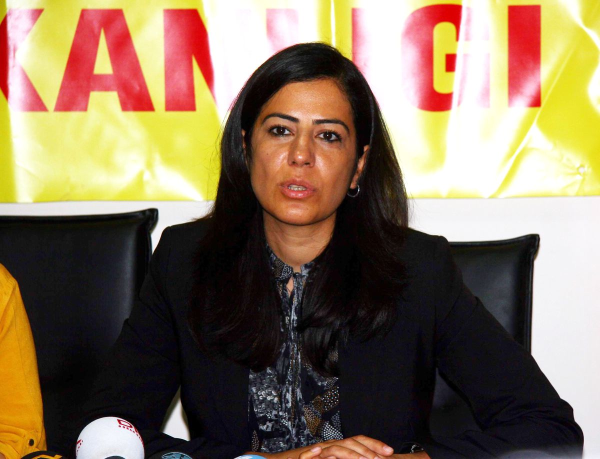 BDP Batman Milletvekili Ayla Akat Ata'dan Süt Açıklaması Açıklaması