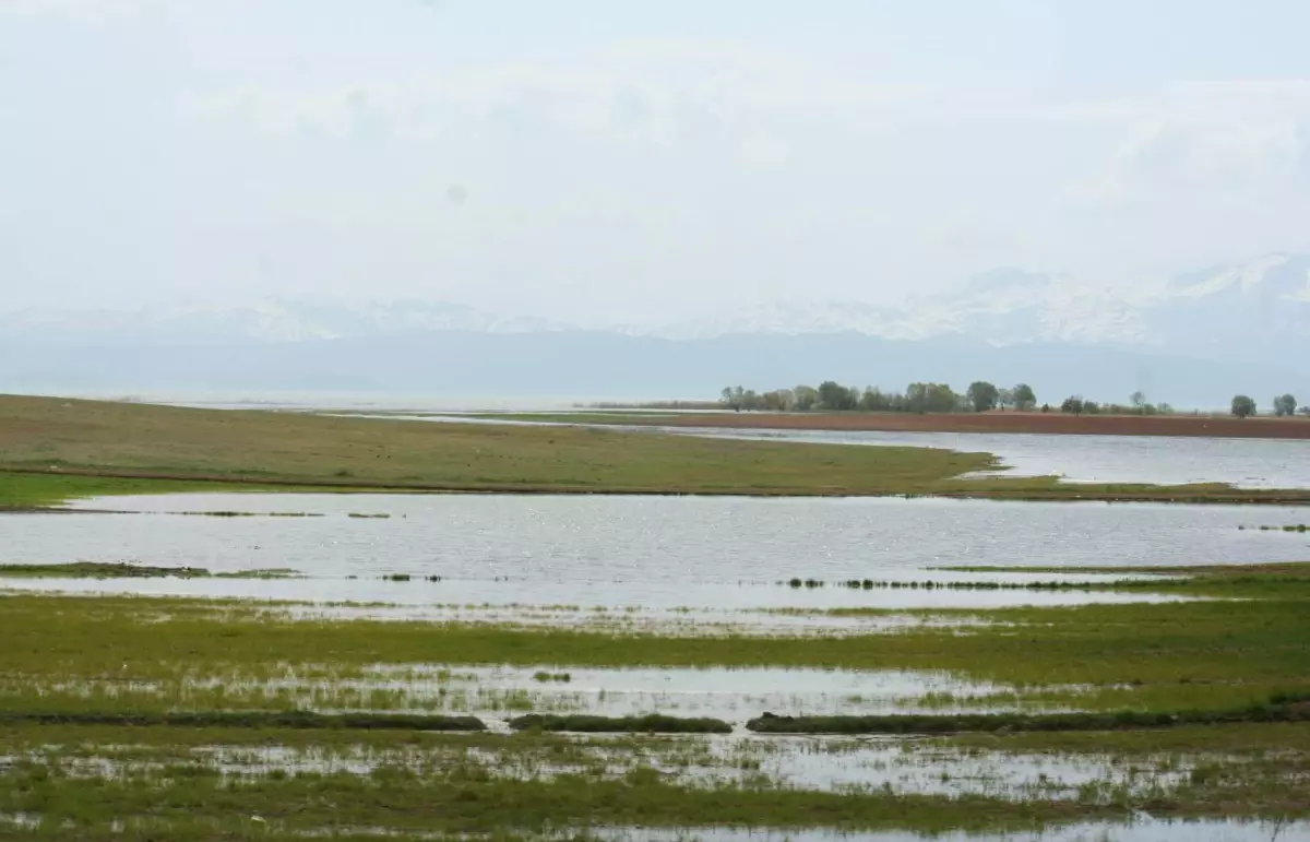 Beyşehir Gölü\'nde Seviye Yükseldi, Tarım Alanları Su Altında Kaldı