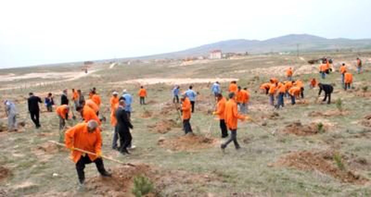 Bin 600 Fidan Dikmek ile Cezalandırıldılar