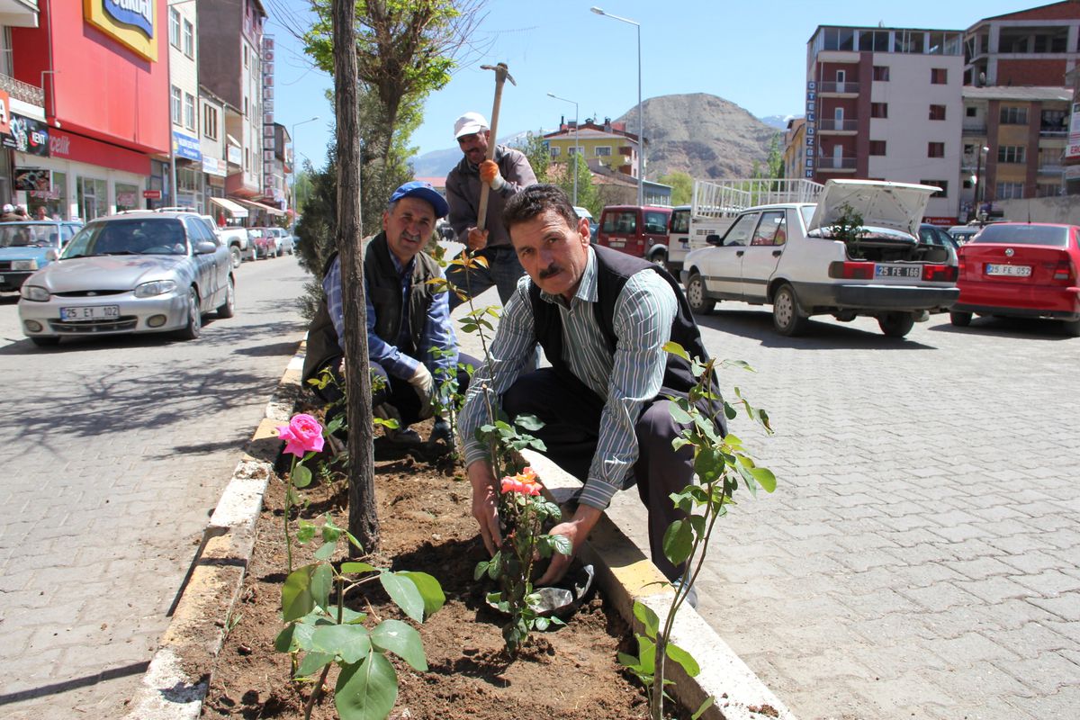 Oltu Belediyesi Bin Fidan Bin 500 Gül Dikti