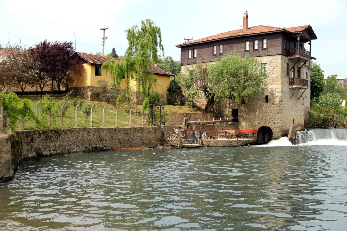 Bartın Irmağı Kimyasal Atık Yuvasına Döndü