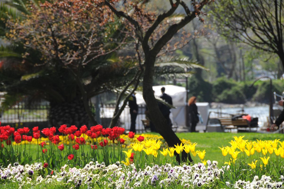 Beykoz\'da Lale Cümbüşü
