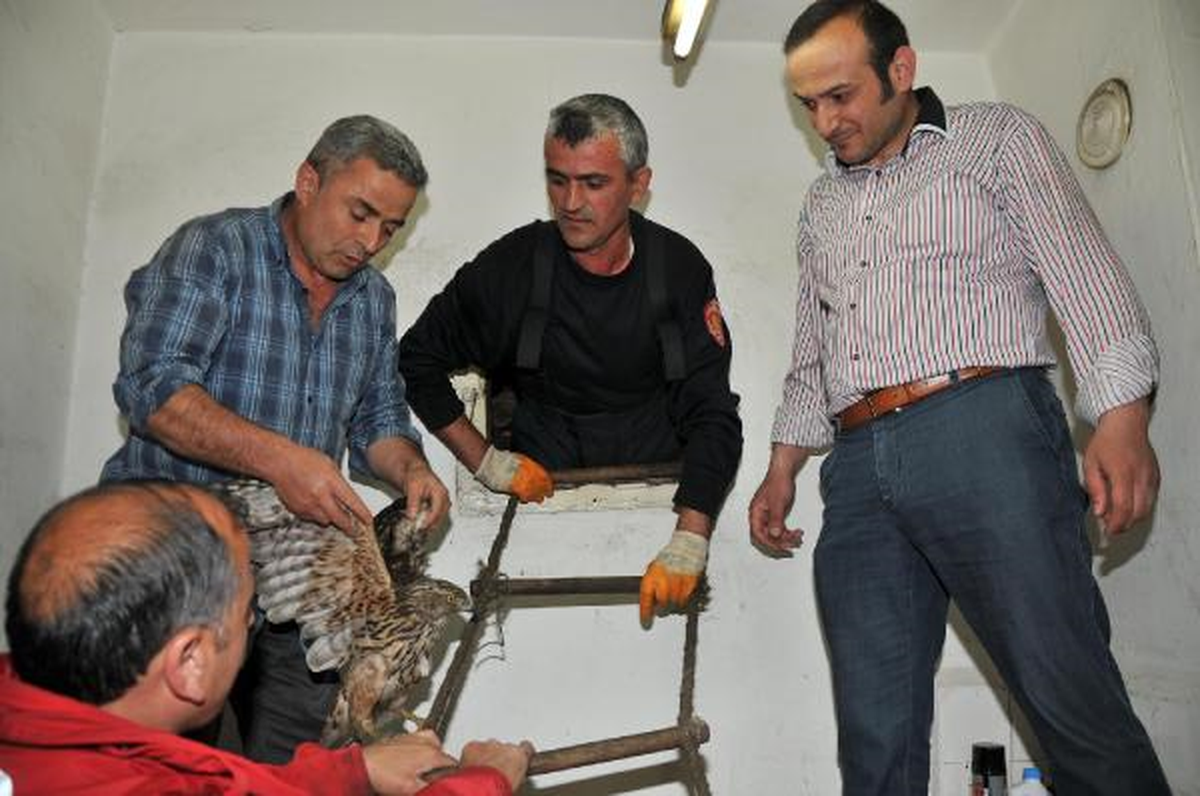 Havalandırma Boşluğunda Mahsur Kalan Şahini İtfaiye Kurtardı