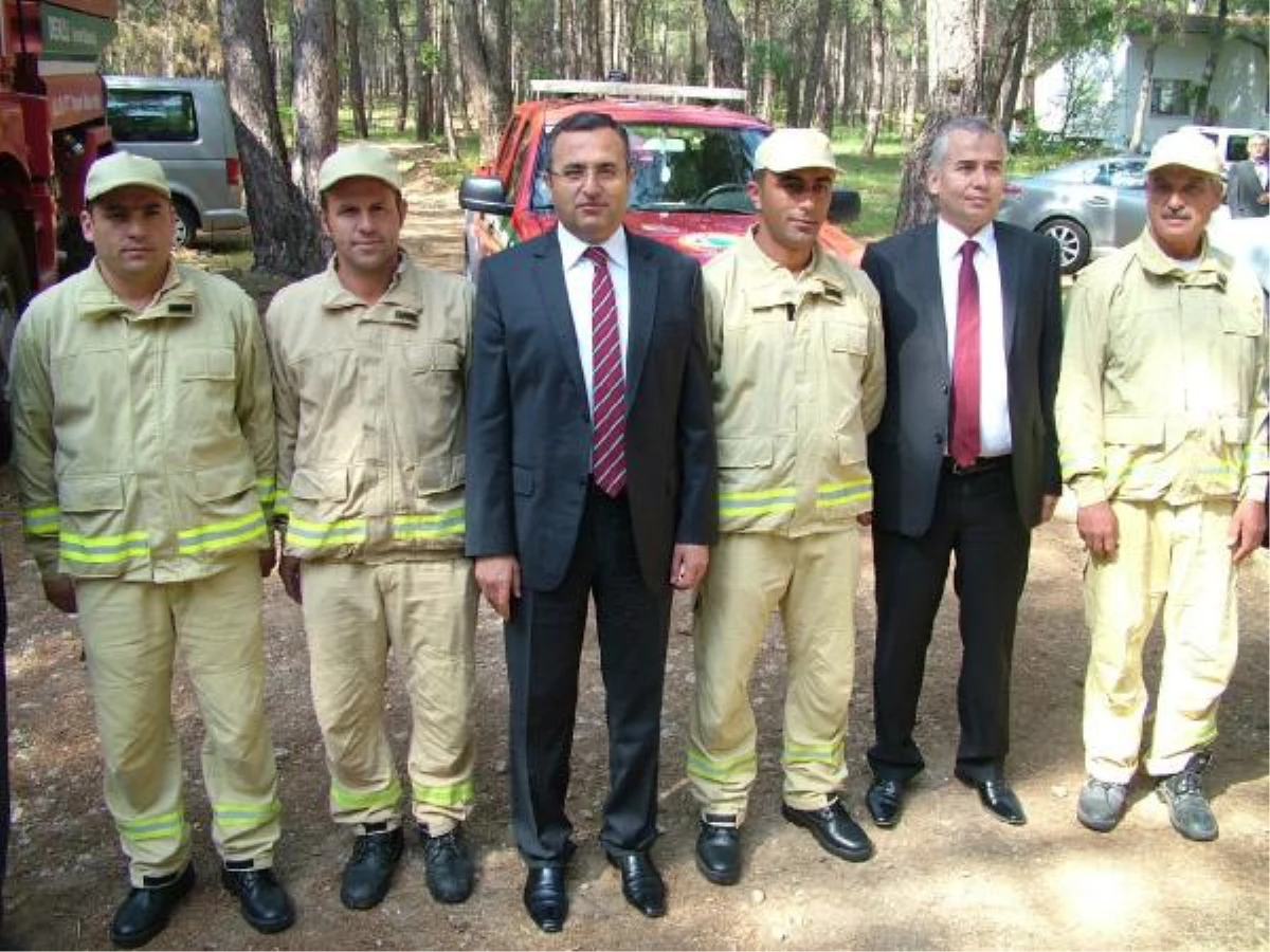 Havalar Isındı, Dikkatler Ormana Çevrildi