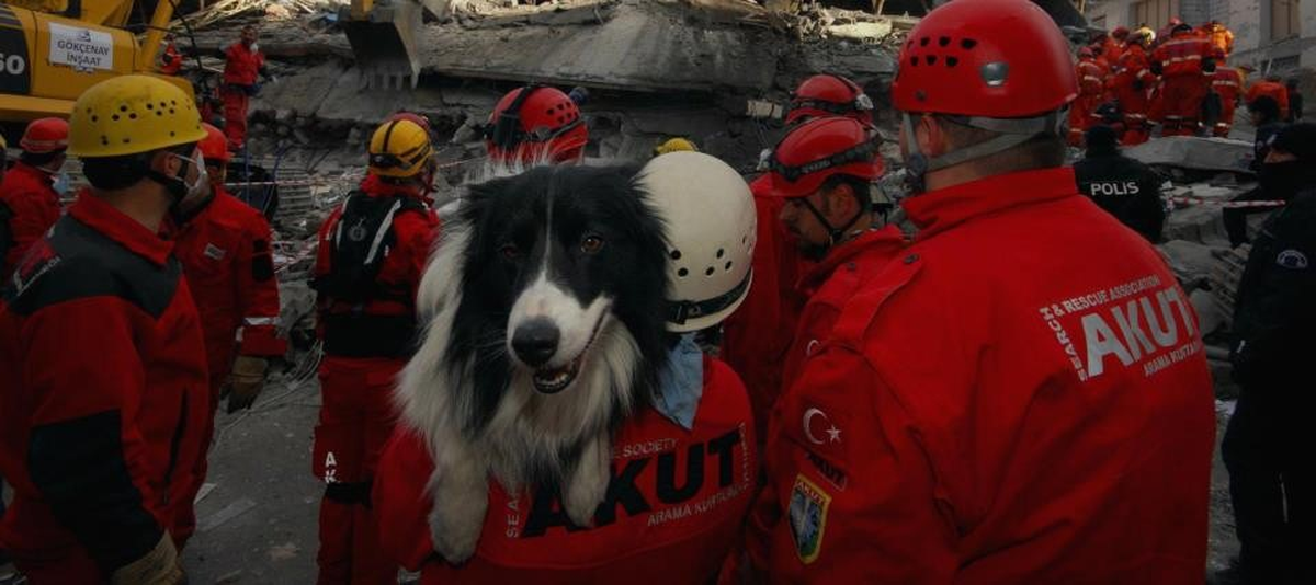 "Her Sokakta Çekirdek Kurtarma Ekipleri Oluşturulmalı"