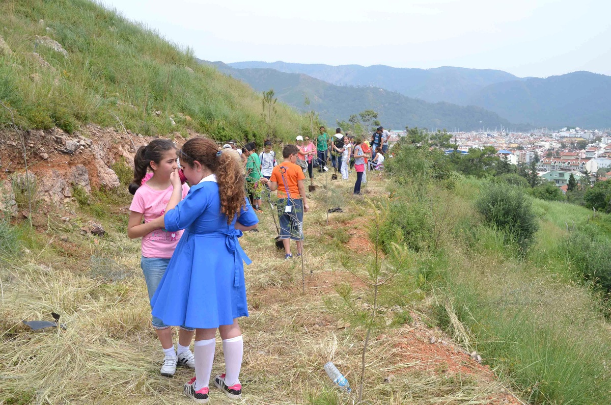 Yanan Ormanlık Alana Öğrenciler Fidan Dikti