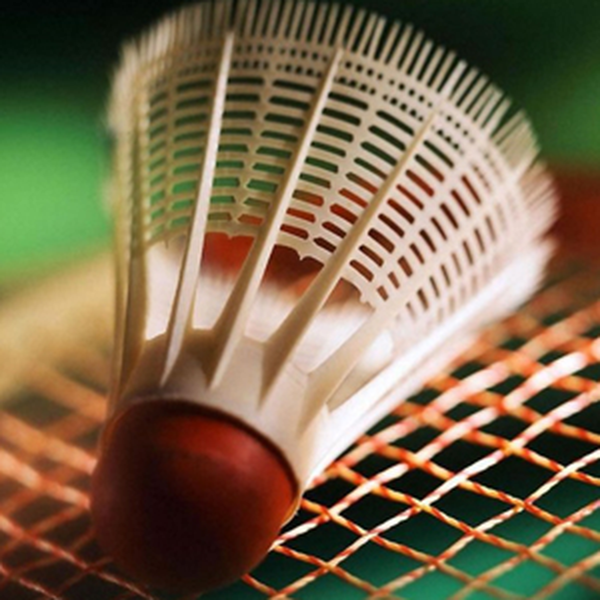Badminton -Türkiye, Balkan Şampiyonu Oldu