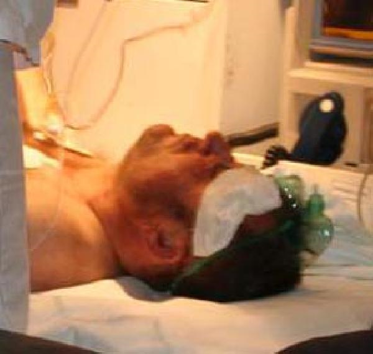 Kız Arkaşına Laf Atan Şoförü Önce Şikayet Etti, Ardından 35 Yerinden Bıçakladı