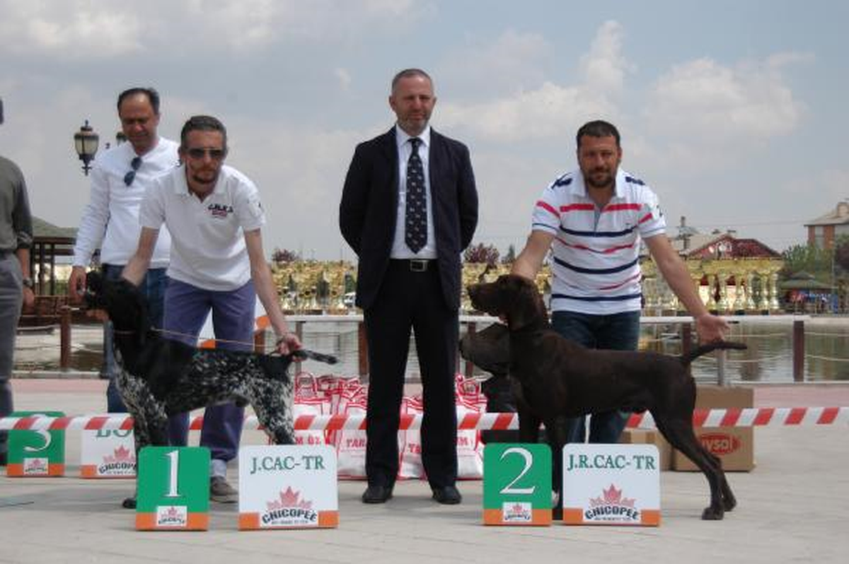 Konya\'da En Güzel Av Köpeği Yarışması