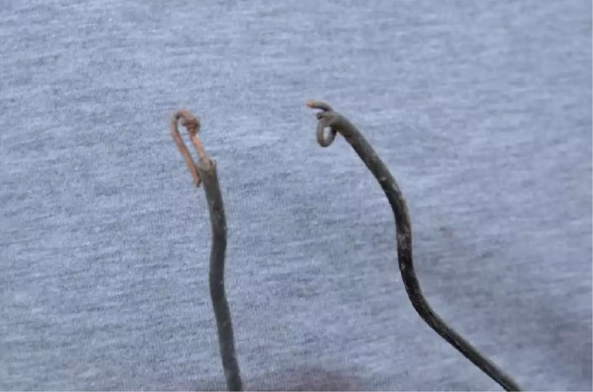 Diyarbakır Valiliği: 4 Bakana Yönelik Bombalı Saldırı Boşa Çıkarıldı