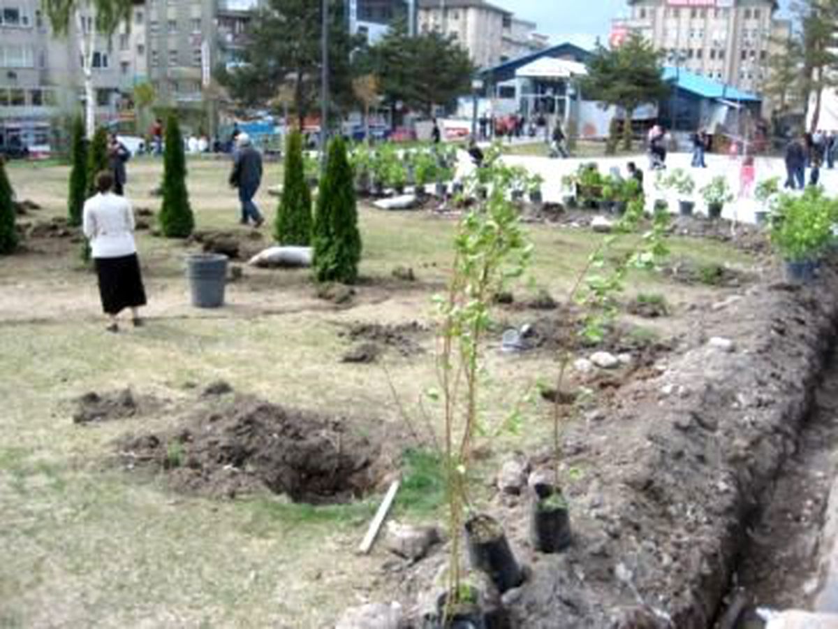 Erzurum\'da Fidan İzdihamı
