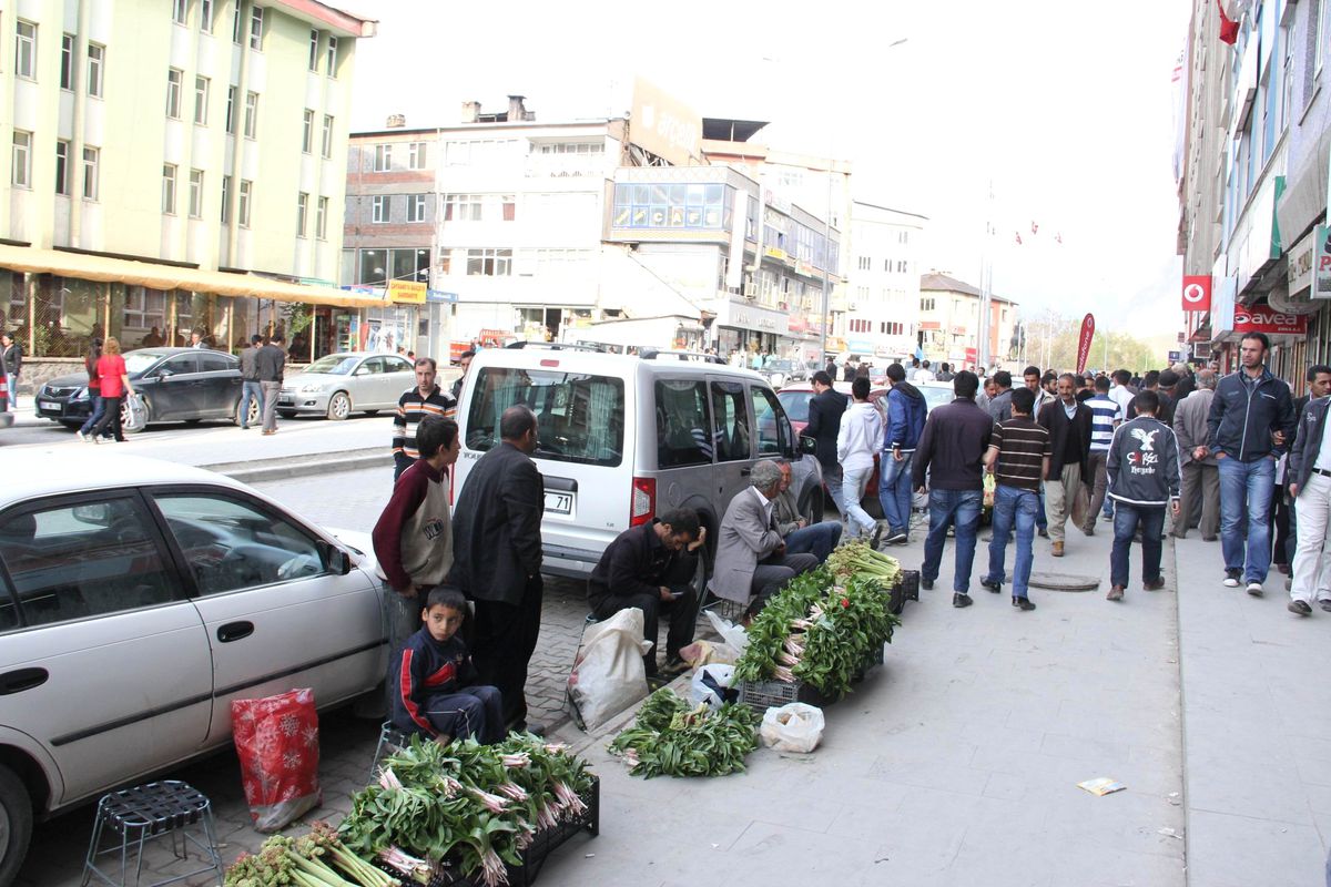 Hakkari\'de Bahar Bereketi