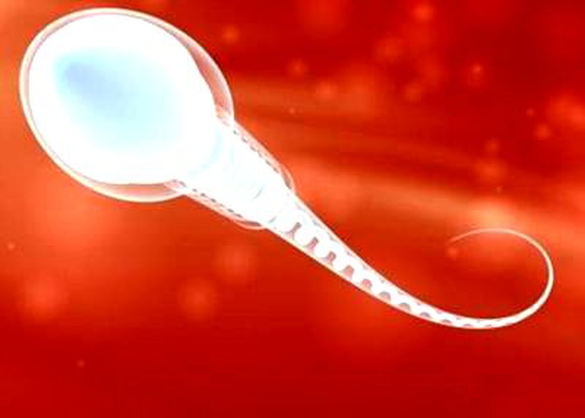 Sperm Bankası Karlı Yatırım Oldu