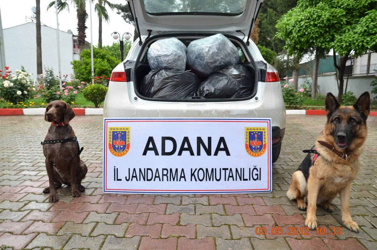 Ceyhan\'da 49 Kilo 210 Gram Esrar Ele Geçirildi