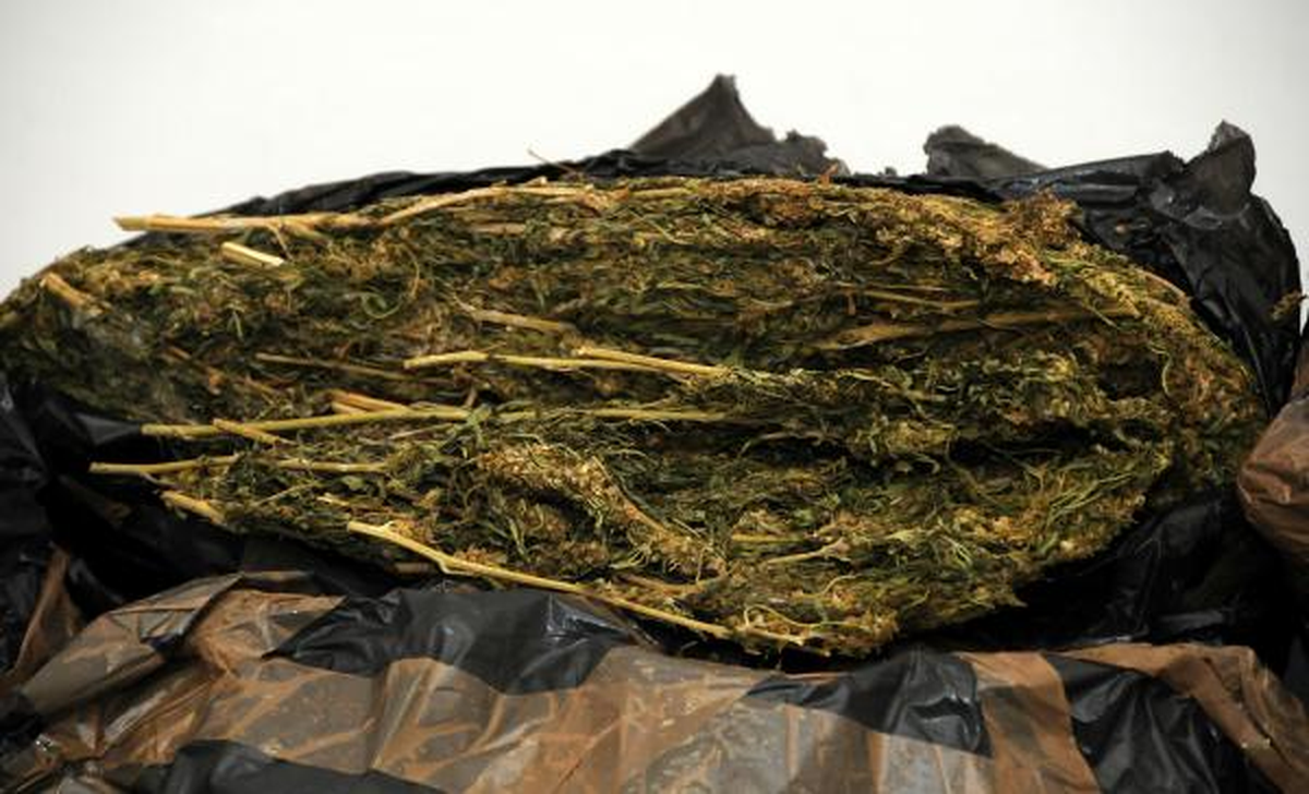 Kayseri\'de 123 Kilo Esrar Ele Geçirildi