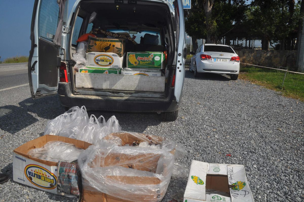 Sazanlar Jandarmaya Takıldı