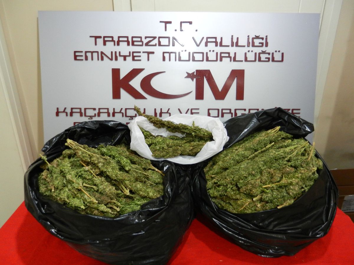 Trabzon da 9 Kilo Esrar Yakalandı
