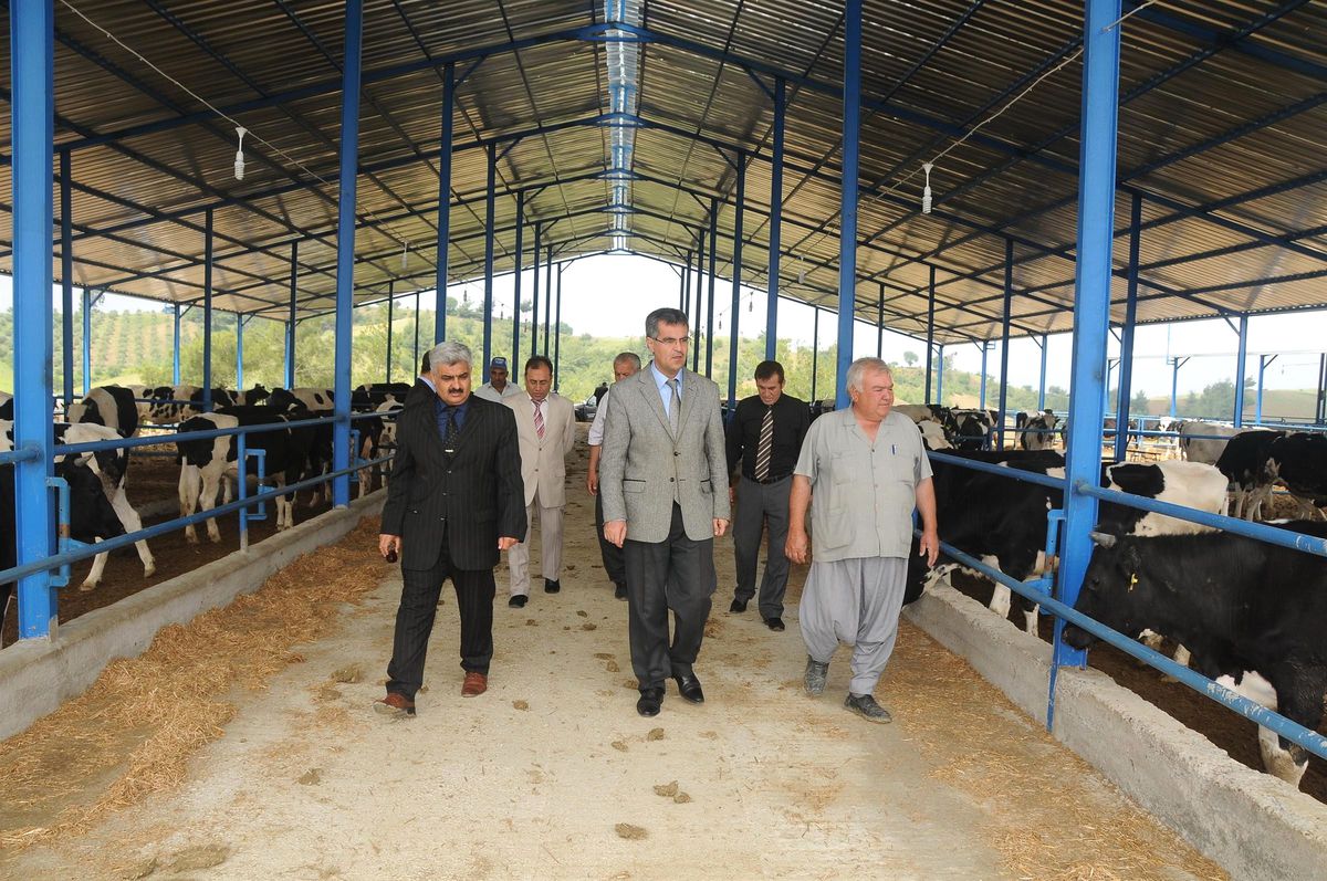 Adana Tarımında Bir \'İlk\' Yaşandı