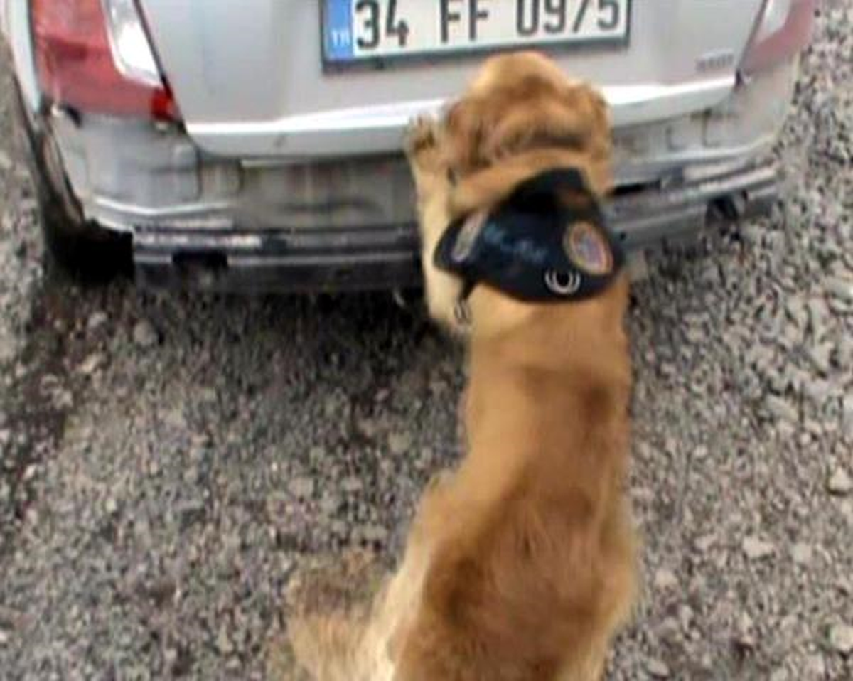 Ağrı'da Uyuşturucu Operasyonu