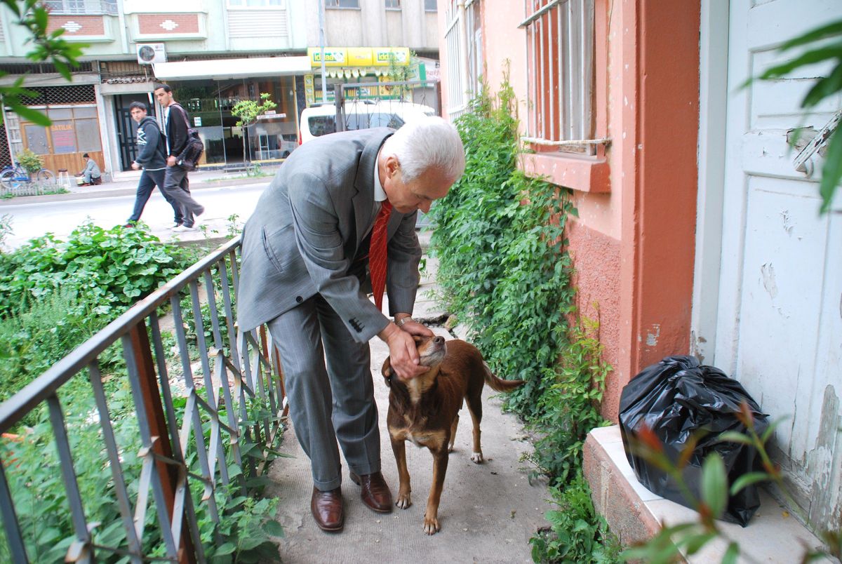 Başhekimin Köpek Sevgisi