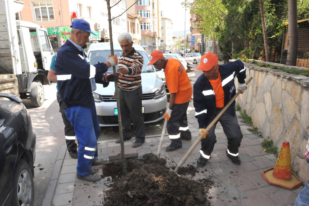 Bozüyük\'te Ağaçlandırma Seferberliği