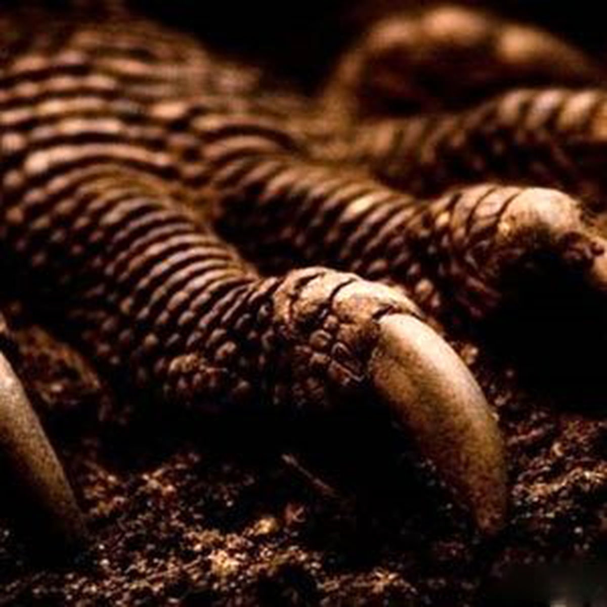 Dinozorlar Dünyanın Isınmasına Katkıda Bulunmuş Olabilir