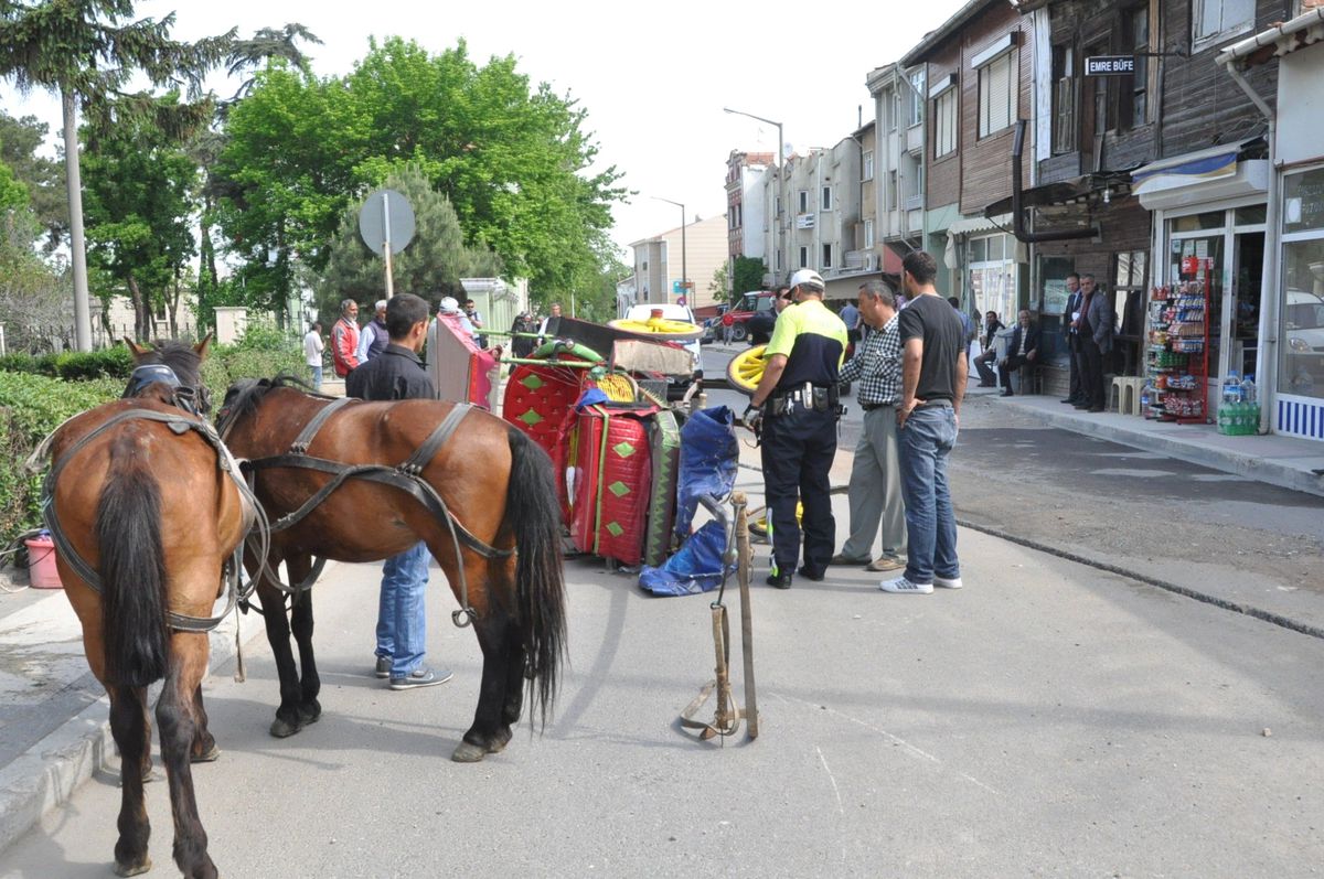 Edirne\'de Fayton Kazası